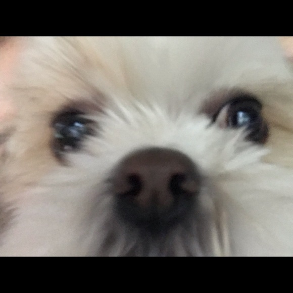 Meet your Posher, Sim - Picture 6 of 6